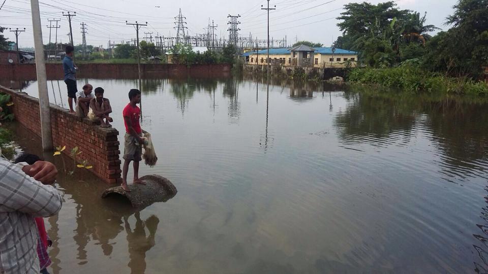 तस्बिर : बिनय अग्रवाल 