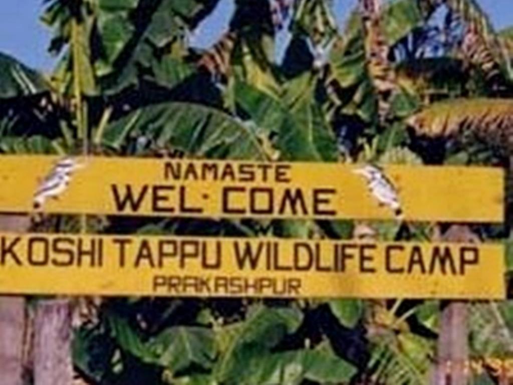 कोशी टप्पु वन्यजन्तु आरक्षमा २१ हजारभन्दा बढी पर्यटक