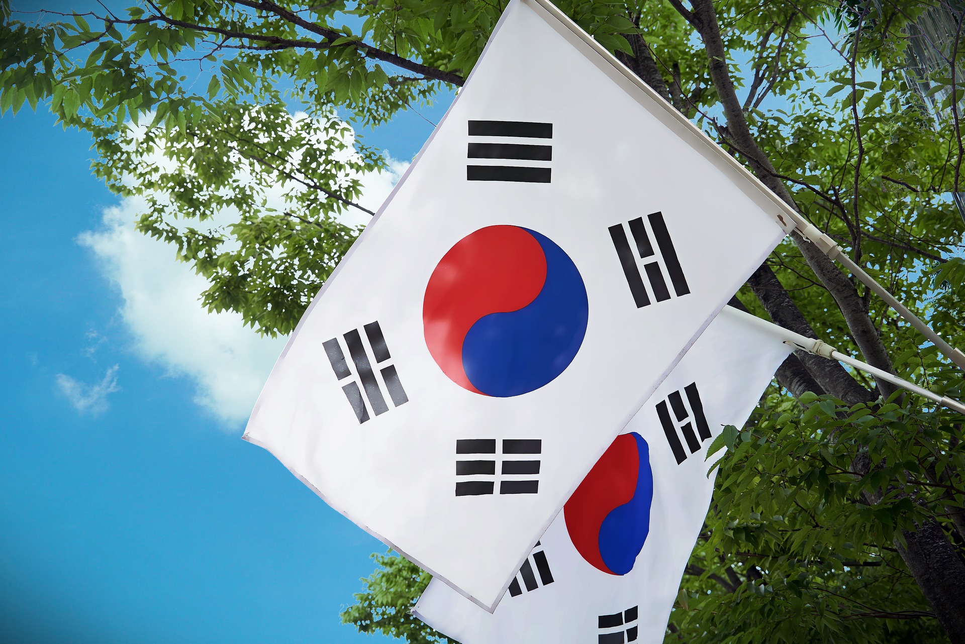 दक्षिण कोरियाली रेष्टुरेण्टमा पाँच वा सोभन्दा बढी भेला हुन रोक