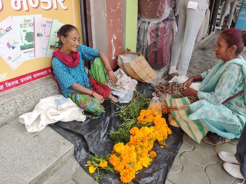 <span class='c1'>असोजको पानीले सयपत्री फूल अभाव, विराटनगरमा</span> <span class='c2'>पन्ध्रथान न्याउरे थुङ्गाको सय रुपैँया</span>