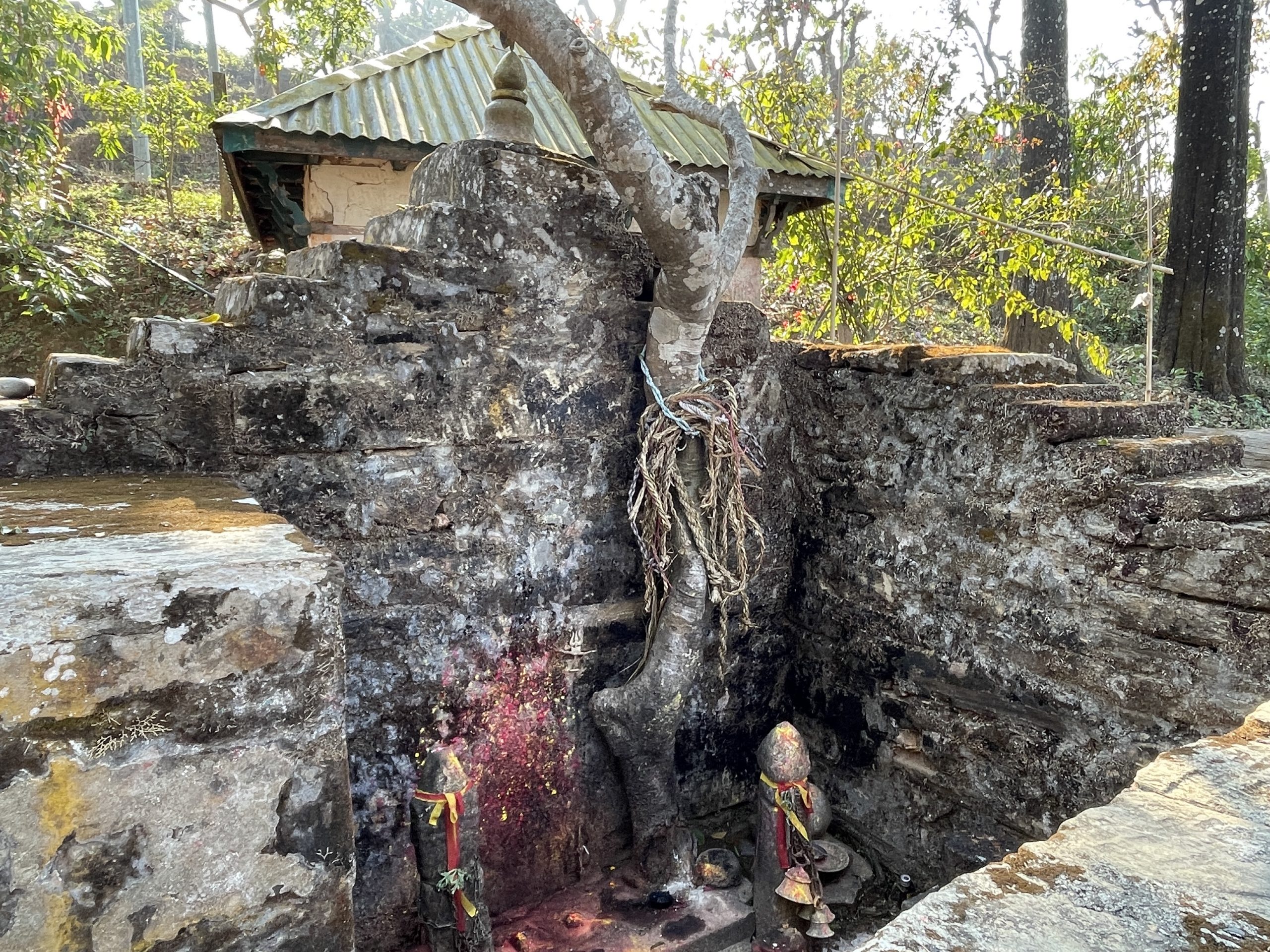 <span class='c1'>जहाँ देवीलाई</span> <span class='c2'>चढाइन्छ दाम्लो</span>