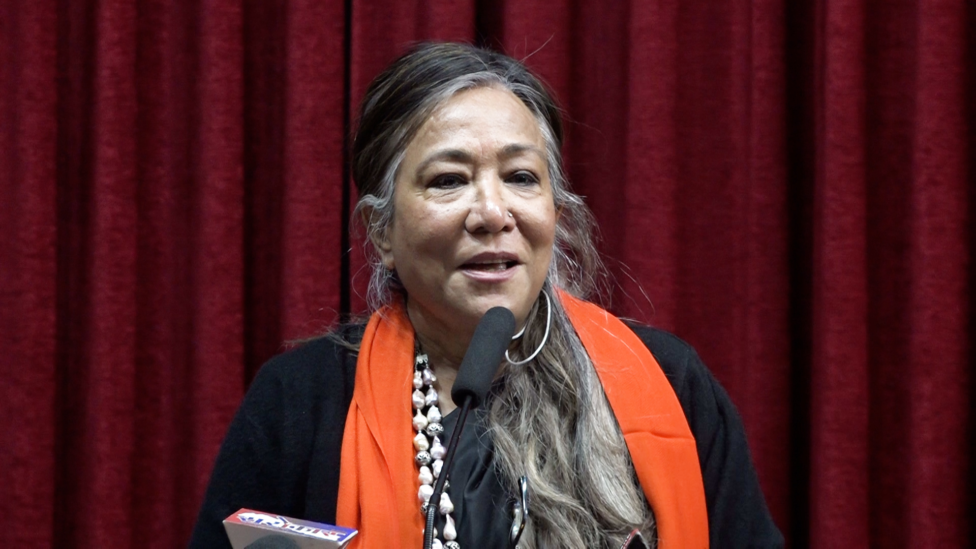 <span class='c1'>महिलामाथिको हिंसा विभेदको कारण र परिणाम</span> <span class='c2'>दुवै होः सपना प्रधान मल्ल</span>