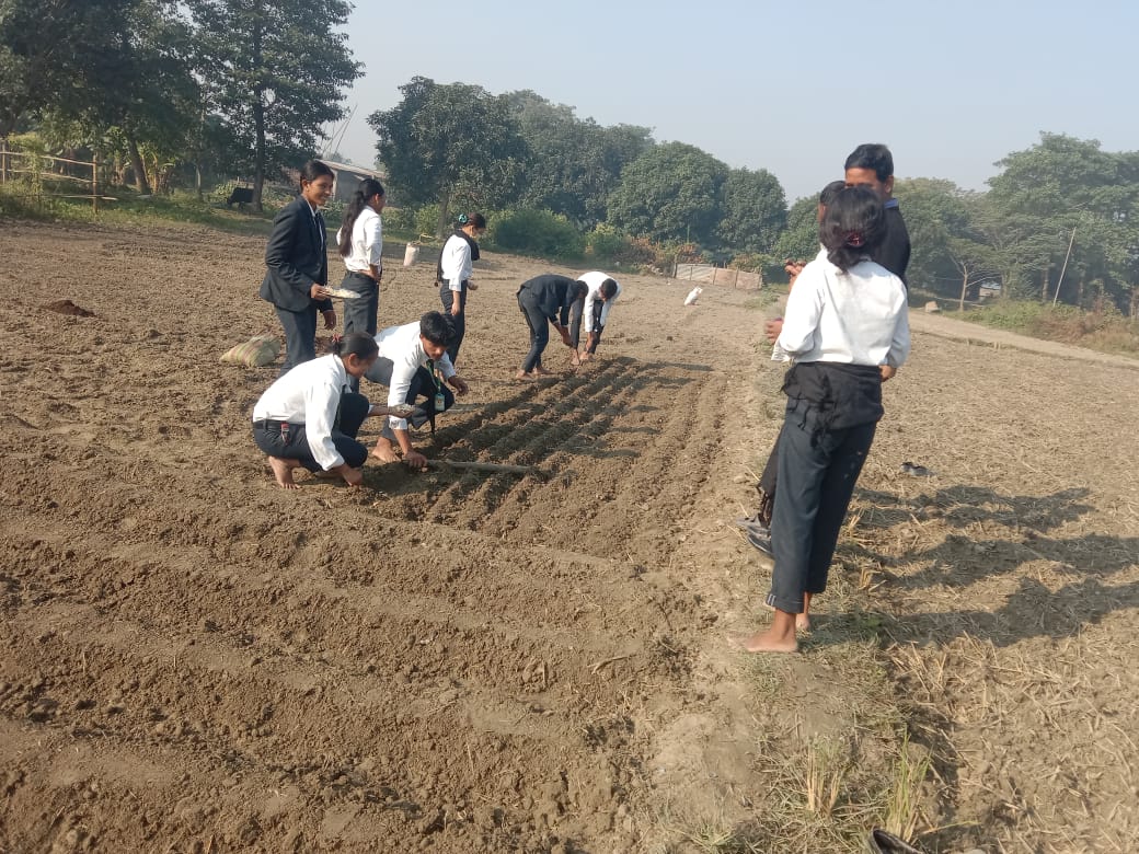 <span class='c1'>‘पढ्दै कमाउँदै’ अभियान : विद्यार्थीले सुरु</span> <span class='c2'>गरे व्यावसायिक आलु र लसुन खेती</span>