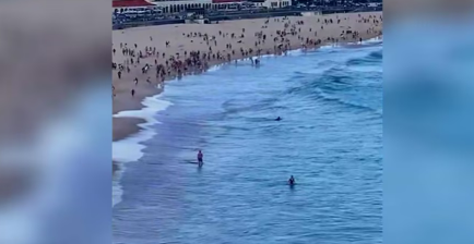 <span class='c1'>अष्ट्रेलियाको बोन्डाइ बीचमा भएको गोलीकाण्डमा</span> <span class='c2'>कम्तीमा १५ जनाको मृत्यु</span>