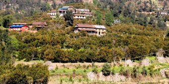 <span class='c1'>कृषि र पर्यटन जोड्ने</span> <span class='c2'>‘सुन्तला–हाइकिङ’ काभ्रेपलाञ्चोकमा पुनः सुरु</span>