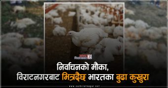 <span class='c1'>विराटनगर–१७ स्थित फ्रेसहाउसबाट ३०० कुखुरा</span> <span class='c2'>बरामद, भारतबाट झोलामा–गाडीबाट पोल्ट्री फममा</span>