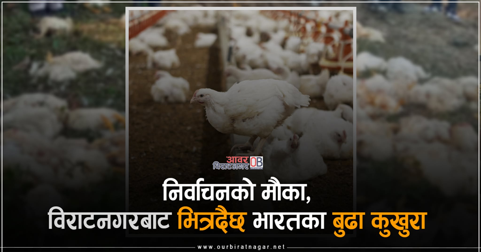 <span class='c1'>विराटनगर–१७ स्थित फ्रेसहाउसबाट ३०० कुखुरा</span> <span class='c2'>बरामद, भारतबाट झोलामा–गाडीबाट पोल्ट्री फममा</span>
