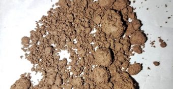 <span class='c1'>झापामा सागको मुठामा</span> <span class='c2'>भेटियो लागु औषध</span>