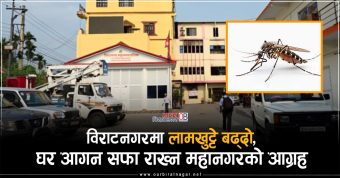 <span class='c1'>विराटनगरमा लामखुट्टे बढ्दो, घर आगन</span> <span class='c2'>सफा राख्न महानगरको आग्रह</span>