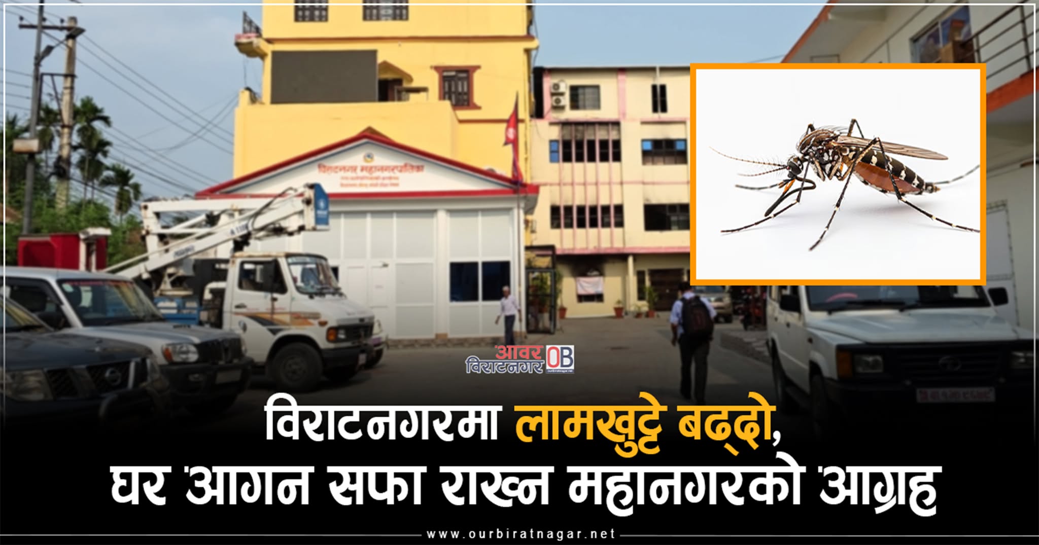 <span class='c1'>विराटनगरमा लामखुट्टे बढ्दो, घर आगन</span> <span class='c2'>सफा राख्न महानगरको आग्रह</span>