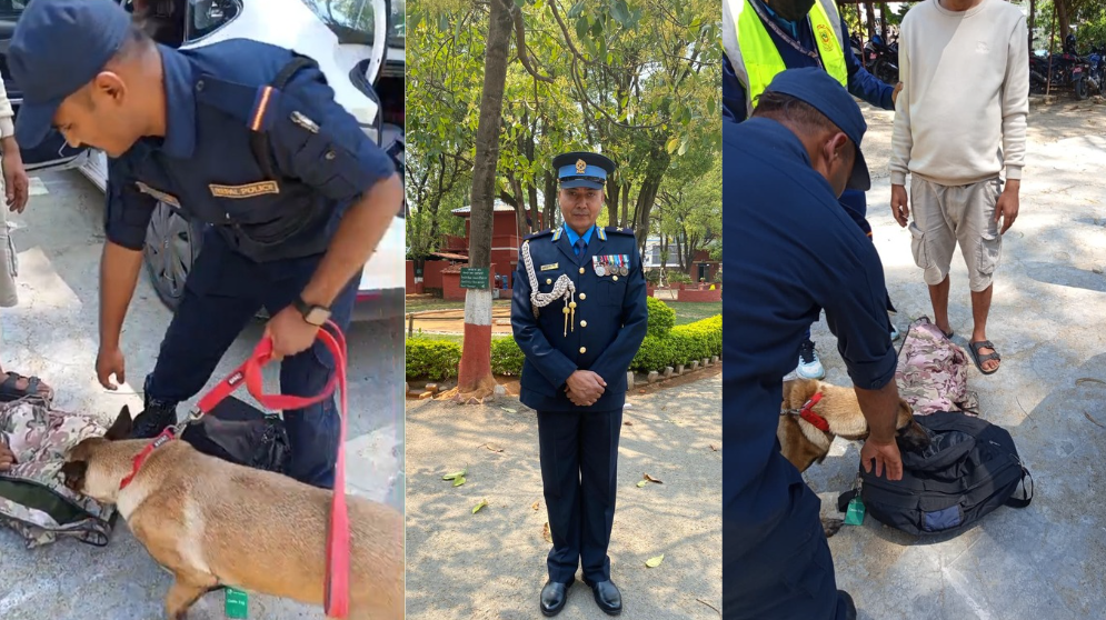 <span class='c1'>प्रहरी निरीक्षक राजु केसी खत्रीको</span> <span class='c2'>सक्रियतामा लागूऔषध ओसारपसार नियन्त्रणमा सफलता</span>