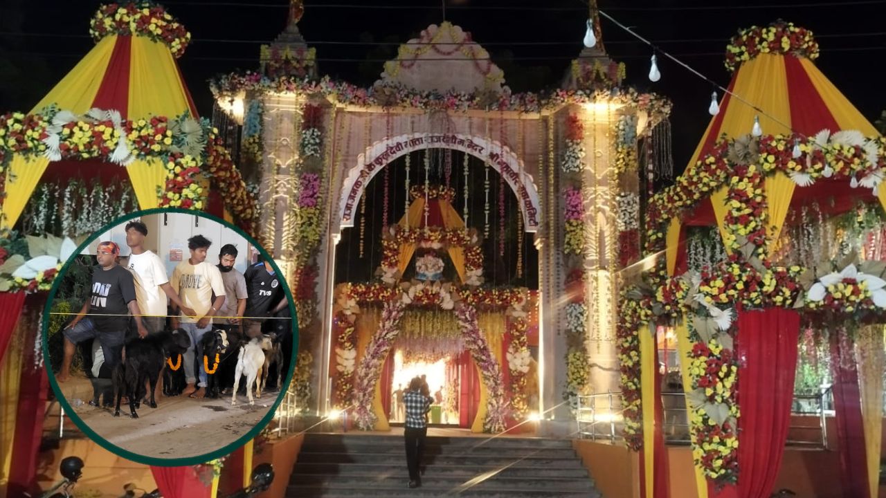 <span class='c1'>जनकपुरधामको राजदेवी मन्दिरमा १४ हजार</span> <span class='c2'>८९१ बोकाको बलि प्रदान</span>